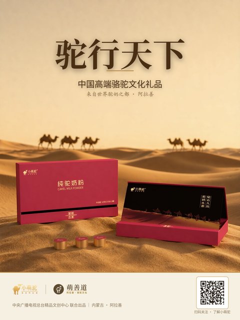 驼行天下 · 高端礼品海报