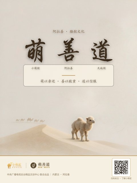 萌善道 · 文化品牌海报
